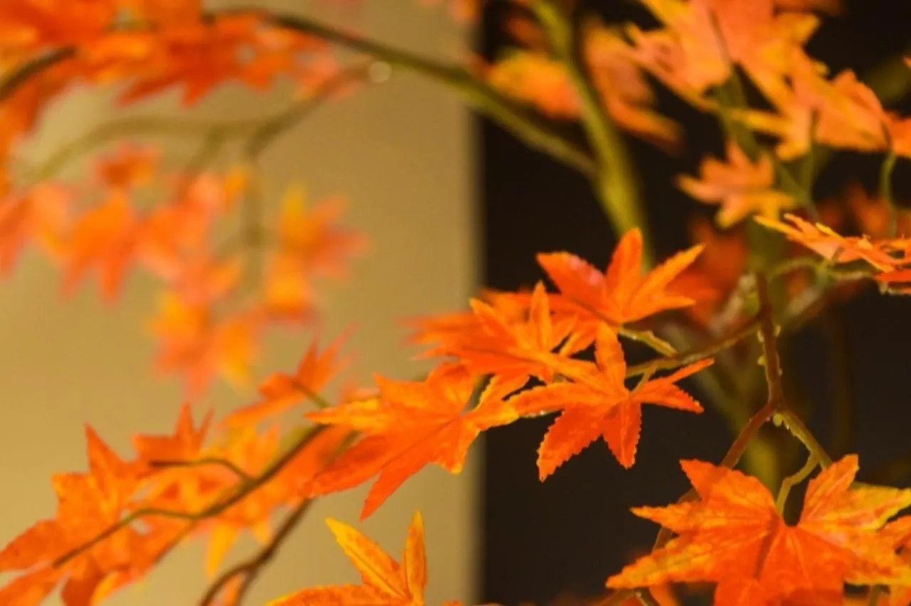 Inoue Building - Vacation Stay 95362V Tokyo